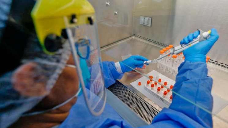 INVESTIGACIÓN. Equipos de científicos han documentado casos de reinfecciones por Covid-19 a través de análisis genéticos.