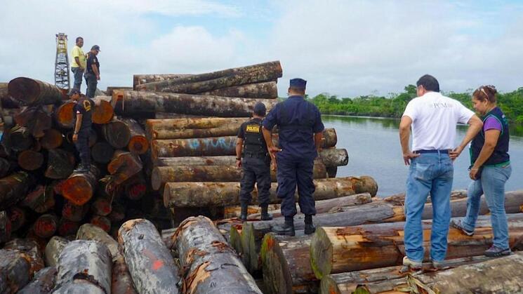HISTÓRICO. En 2015 las autoridades incautaron 1.300 metros cúbicos de madera a 11 empresas, entre ellas a La Oroza. 