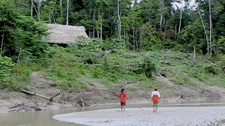 Los mastanahua vivían entre los bosques de Purús, en la frontera con Brasil.
