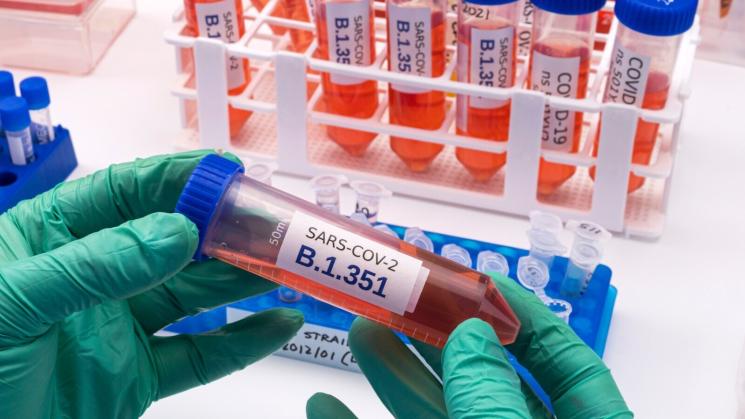 B.1.351. Esta variante del coronavirus, detectada originalmente en Sudáfrica, reduce la eficacia de algunas vacunas.
