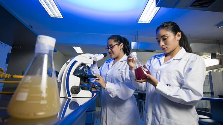 PARTICIPACIÓN. En los últimos cinco años las mujeres tienen mayor presencia en actividades científicas. Sin embargo, la brecha de investigadoras aún es grande.