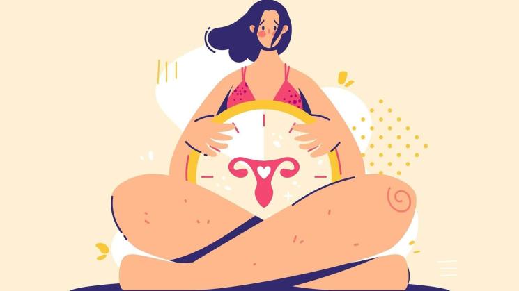 CICLO. En promedio, el último periodo menstrual ocurre entre los 45 años y 55 años de edad.