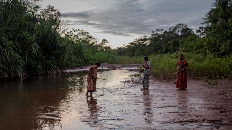 AUSENTES. Los pueblos indígenas, campesinos y afrodescendientes no fueron consultados sobre una norma que decidirá sobre la gestión de sus vidas y territorios. 