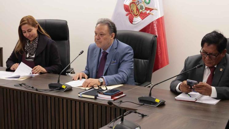 DECISIÓN. Presidente de esta comisión, Carlos Mesía, recomendó a 22 expertos, siete de ellos asesoraron a Dina Boluarte.