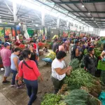 ESTUDIO. Muestras para los análisis fueron adquiridos en cuatro diferentes mercados. 