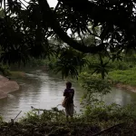 POSTPONED. The implementation of the JDI has neglected the importance of indigenous territories in mitigating the loss of Amazon forests.