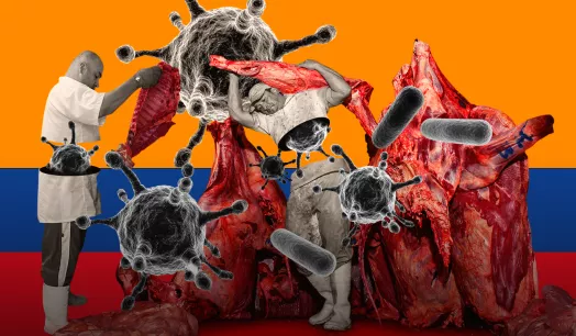 RIESGO. El 70% de las plantas de beneficio de la industria de carne no cumple las normas sanitarias.