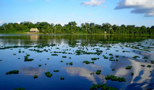 BIODIVERSIDAD. Investigación consideró más de 2 mil millones de hectáreas del mundo en su análisis sobre la pérdida veloz de especies naturales de la tierra.