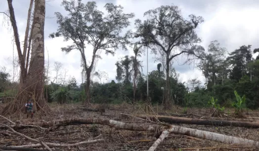 CAMBIOS. Proyecto del Minagri propone que empresas tengan un período de dos años para solicitar certificaciones ambientales al Estado peruano.