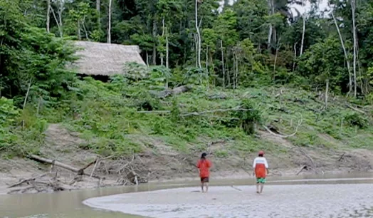 Los mastanahua vivían entre los bosques de Purús, en la frontera con Brasil.