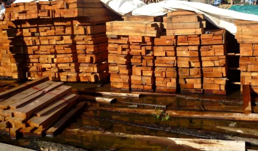 SANCIONADA. Inversiones La Oroza, la empresa del ingeniero forestal Luis Ángel Ascencio Jurado, se encuentra impedida de exportar madera hacia Estados Unidos hasta el 2023.