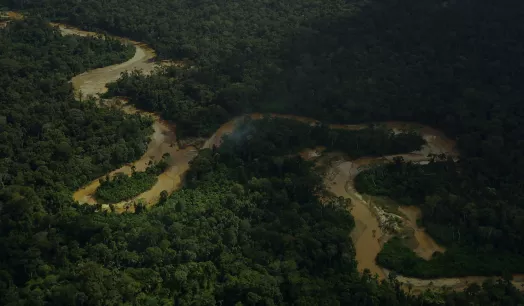 TALLER. Periodistas y comunicadores de todo el Perú podrán participar en este programa de capacitación sobre delitos ambientales en la Amazonía