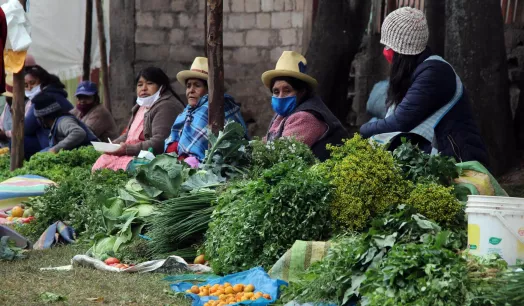 MINORÍA. Solo alrededor del 1,5% del total de productores agropecuarios peruanos ha accedido a crédito de Agrobanco, entre enero y julio de 2021.