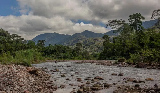 RETRASOS. El gobierno de Pedro Castillo todavía no brinda avances específicos sobre el trabajo que desarrollará en el sector ambiental y forestal. 