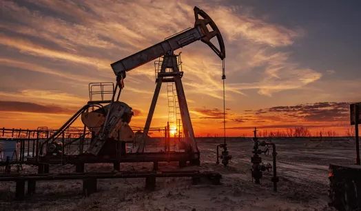 LÍDER. Una empresa estatal, PetroPerú, y una privada, Refinería La Pampilla, ambas del sector hidrocarburos, encabezan la lista de las que más facturaron en 2022.