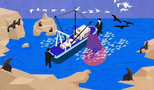 OBJETIVO. Con una acción popular, la Sociedad Nacional de Pesquería pretende anular el artículo de una normativa que prohíbe la pesca en gran escala en áreas naturales protegidas.