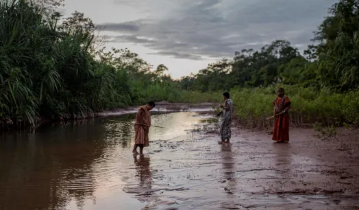 AUSENTES. Los pueblos indígenas, campesinos y afrodescendientes no fueron consultados sobre una norma que decidirá sobre la gestión de sus vidas y territorios. 