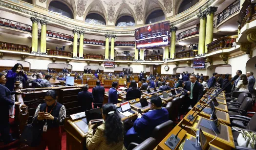 REPRESENTANTES. Senadores y diputados tienen nexos con negocios del sector Educativo, como universidades, institutos y otras asociaciones.