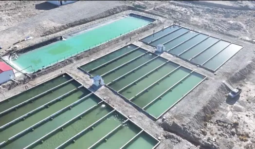 PISCIGRANJAS. En 2023, la empresa acuícola Hotan Yujianjianglai comenzó a criar bacalao, lubina y carpa en una piscifactoría de 13 acres, situada en el extremo sur del desierto de Taklamakán.