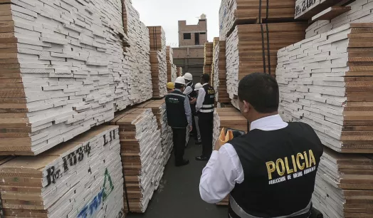 INVESTIGADA. Más de 309 metros cúbicos de madera de presunto origen ilegal iban a ser enviados al puerto de Manzanillo en México por la empresa maderera Corporación Inforest MC en octubre pasado.
