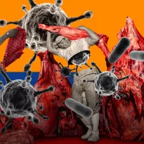 RIESGO. El 70% de las plantas de beneficio de la industria de carne no cumple las normas sanitarias.