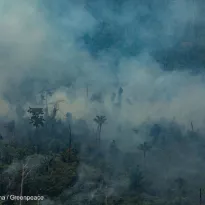 IMPACTO. La amazonía brasileña enfrentó el 2019 uno de los incendios forestales más grandes de los últimos años. 
