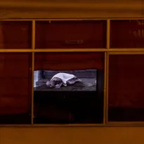 El mundo que veo desde mi ventana: un ensayo fotográfico de la pandemia