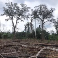 CAMBIOS. Proyecto del Minagri propone que empresas tengan un período de dos años para solicitar certificaciones ambientales al Estado peruano.