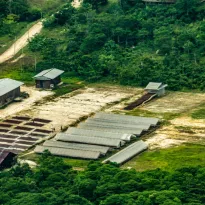 RUTAS. Tamshi SAC transporta y comercializa cacao desde el fundo Tamshiyacu en Loreteo hacia Lima. Imagen tomada el 6 de agosto del 2019.
