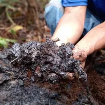 IMPACTO. Las comunidades indígenas de Loreto pidieron que la empresa petrolera no se marche sin reparar los daños ambientales que causó en su territorio.