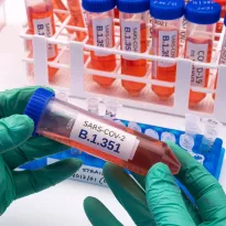 B.1.351. Esta variante del coronavirus, detectada originalmente en Sudáfrica, reduce la eficacia de algunas vacunas.