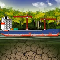 STRATEGY. Peruvian companies implicated in the Yacu Kallpa case have continued to extract and export forest products, including species categorized as vulnerable.