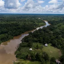PROPUESTA. Luego de que se archive en el Congreso una propuesta que cambiaba la ley forestal, ahora desde el Ejecutivo se ha impulsado una serie de cambios a esta norma.