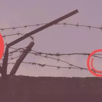CRISIS. Estas son las desinformaciones que vienen circulando tras el ataque de Hamás en Israel.