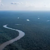 OPORTUNIDAD. Según estudio, es momento de transitar al uso de energías renovables, la explotación de los combustibles fósiles en la Amazonía ya no es una alternativa.  