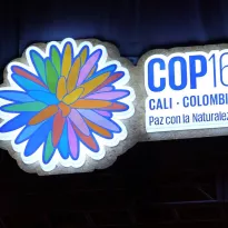 COP16. En la cumbre de biodiversidad en Cali, Colombia, se debate un mecanismo técnico, pero clave para los países en desarrollo.