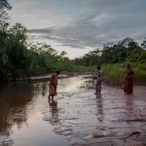 AUSENTES. Los pueblos indígenas, campesinos y afrodescendientes no fueron consultados sobre una norma que decidirá sobre la gestión de sus vidas y territorios. 