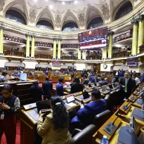 REPRESENTANTES. Senadores y diputados tienen nexos con negocios del sector Educativo, como universidades, institutos y otras asociaciones.