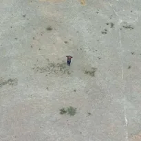TERRENO. León López hace ejercicios sobre una superficie, cubierta de grava y tierra, en el parque Sinchi Roca.