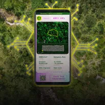 NEGOCIO. En medio del auge de las criptomonedas durante la pandemia, una empresa alemana compró tierras en Loreto y las puso a la venta como criptotokens NFT.