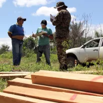 VECINO. El tráfico de madera se sostiene en este país con documentos que contienen información falsa.