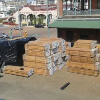 A group of Mexican businesspeople benefit from the uncontrolled import of timber from the Peruvian Amazon.