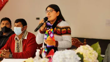 La actual Constitución Política no hace la distinción de que las restricciones solo puedan ser dispuestas mediante leyes, pero no por decretos supremos. 