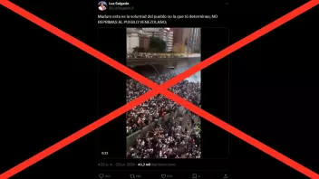 Falso: Video compartido por Luz Salgado sobre una protesta tras elecciones en Venezuela no es actual