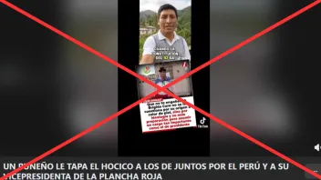 #Factchecking Video de supuesto ciudadano puneño que critica a la candidata vicepresidencial Brígida Curo no es real: fue creado con IA.